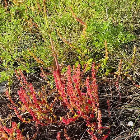 Appartement Beirada 1 En Porto De Portocubelo Con Parking Lira (A Coruna)